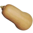 Pumpa Butternut