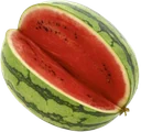 Melon Vatten Mini