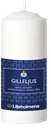 Gilleljus Vita Vit