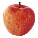 Äpple Royal Gala