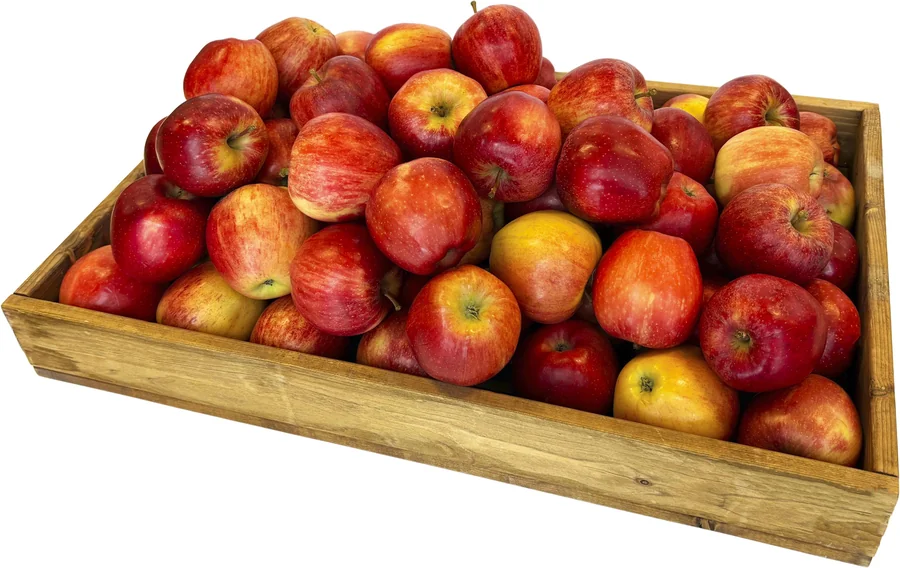 Äpple Royal Gala Fruktlåda