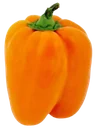 Paprika Orange