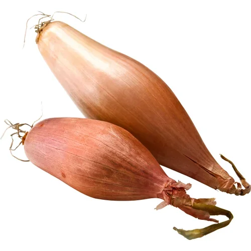 Bananschalottenlök ca Klass 1