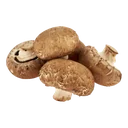 Skogschamp Champinjon