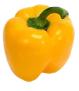 Paprika Gul