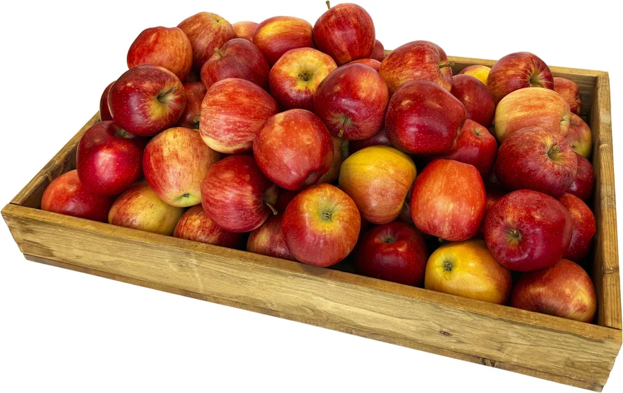 Äpple Royal Gala Fruktlåda