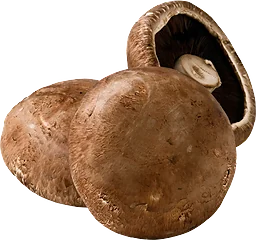 Portabella ca 100g Klass 1 ICA