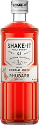 Mixer Rhubarb Syrup