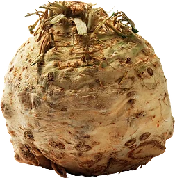 Rotselleri ca 900g Klass 1 ICA