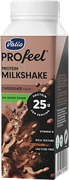 Chocolate Protein Milkshake