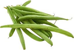 Brytbönor