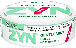 Gentle Mint Slim 14.7 Gram Zyn
