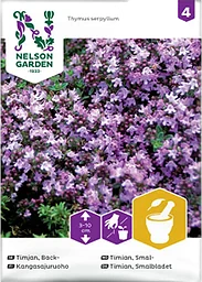 Timjan, Back- Nelson Garden