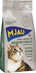 Utekatt Kastrerad