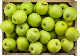 Äpple 