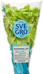 Plocksallat Kruka 1-p KRAV Svegro