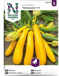 Squash, Yellowstar F1 Nelson Garden