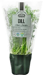Dill 30g Oh My Greens