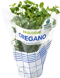 Kabbarp Oregano Eko