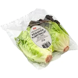 Hjärtsallad röd/grön Klass 1
