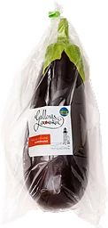 Aubergine 280g Gällenäs Grönsaker