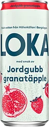 Kolsyrat vatten Jordg/Granatäpple