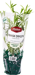 Fransk Dragon Kruka KRAV Handelsträdgård