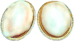 Mazarin 2-pack