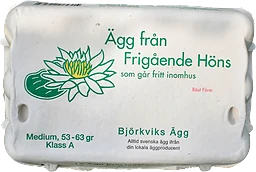 Ägg 15-p Frigående 15st Björkviks Ägg