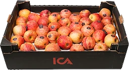Äpple Royal Gala låda Klass 1 ca 13kg