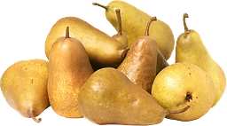 Päron