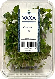 Oregano Färsk 15g Växa odling i Sverige