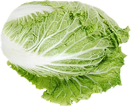 Salladskål Delad