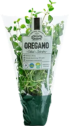 Oregano 30g Oh My Greens