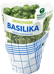 Basilika Ekologisk 1-p Kabbarps Trädgård