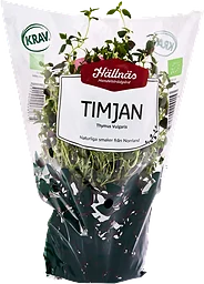 Timjan Kruka KRAV Hällnäs Handelsträdgård