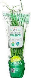 Gräslök vertikalodlad 1-p Klass 1 ICA