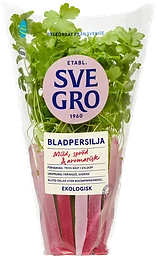 Bladpersilja i kruka Ekologisk 1-p KRAV Svegro