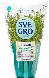 Timjan i kruka Ekologisk 1-p KRAV Svegro
