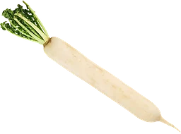 Rättika ca 900g Klass 1 ICA