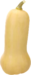 Pumpa Butternut 1-pack Klass 1 ICA