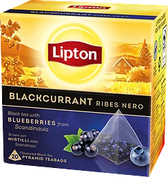 Blackcurrant Pyramid Tea Bags