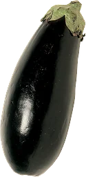 Aubergine Eko