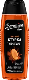 Duschgel MAN Styrka Cederträ 250ml Barnängen