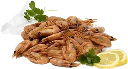 Rökta Räkor