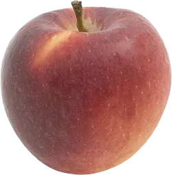 Äpple Giga 2 Lag