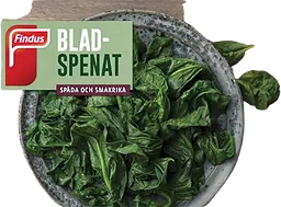 Bladspenat
