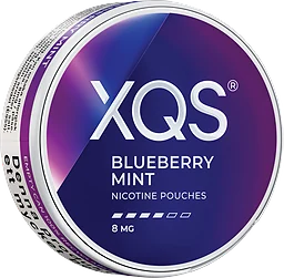 Xqs Blueberry Mint Str Tobaksfritt Snus