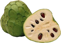 Cherimoya