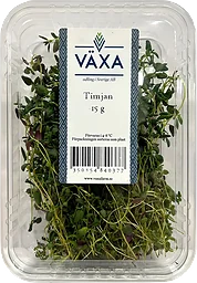 Timjan Färsk 15g Växa odling i Sverige